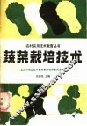 蔬菜栽培技术 封面