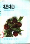 杨梅 封面