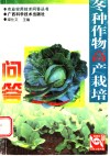 冬种作物高产栽培300问  第2版 封面