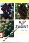 葡萄高效益栽培 封面