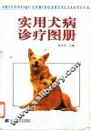实用犬病诊疗图册 封面