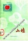 山楂 封面