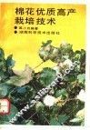 棉花优质高产栽培技术 封面