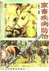 家畜疾病防治 封面