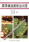 蔬菜病虫害防治问答 封面