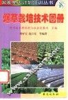 烟草栽培技术图册 封面