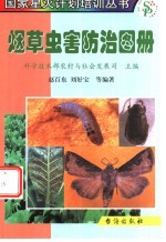 烟草虫害防治图册 封面