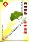 药用植物与医疗保健 封面