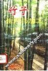 竹子生产与加工 封面