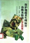 保护地蔬菜生理病害诊断及防治  彩色图册 封面