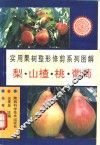 实用果树整形修剪系列图解  梨、山楂、桃、葡萄 封面