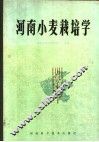 河南小麦栽培学 封面