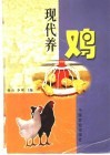现代养鸡 封面
