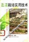 蔬菜栽培实用技术 封面