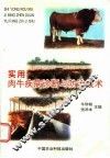 实用肉牛疾病诊断与防治技术 封面