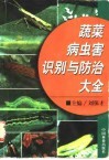 蔬菜病虫害识别与防治大全 封面