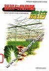 蔬菜与食用菌栽培 封面