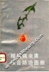 柑桔病虫害综合防治图册 封面