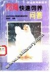 肉鸡快速饲养问答 封面