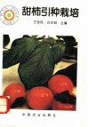 甜柿引种栽培 封面