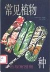 常见植物400种  彩色观察图册 封面