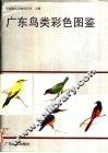 广东鸟类彩色图鉴 封面