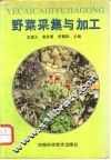 野菜采集与加工 封面