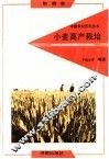 小麦高产栽培 封面