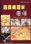 超微病理学图谱 封面