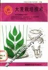 大麦栽培技术 封面