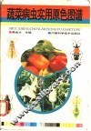 蔬菜病虫实用原色图谱 封面