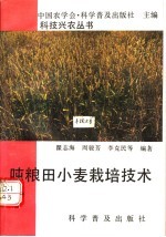 吨粮田小麦栽培技术 封面