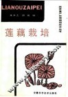 莲藕栽培 封面