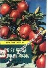 新红星等元帅系苹果 封面
