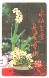 水仙盆景造型艺术 封面