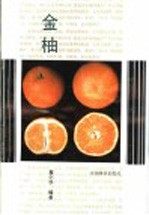 金柚 封面