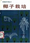 椰子栽培 封面