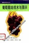 葡萄栽培技术与图示 封面