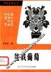 盆栽葡萄 封面