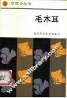 毛木耳 封面