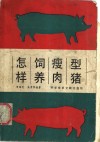 怎样饲养瘦肉型猪 封面