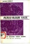肉用仔鸡饲养56天 封面