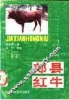 郏县红牛 封面