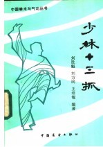 少林十三抓 封面