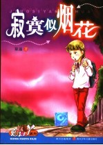 寂寞似烟花 封面