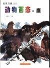 动物百态  鹰 封面