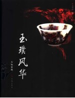玉璞风华 封面