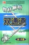 教材解析双通道  初三代数 封面