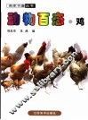 动物百态  鸡 封面