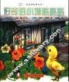好奇的小鸡咯咯咯 封面